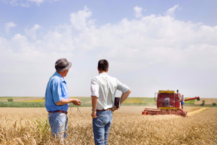 A farmer out in his field. 